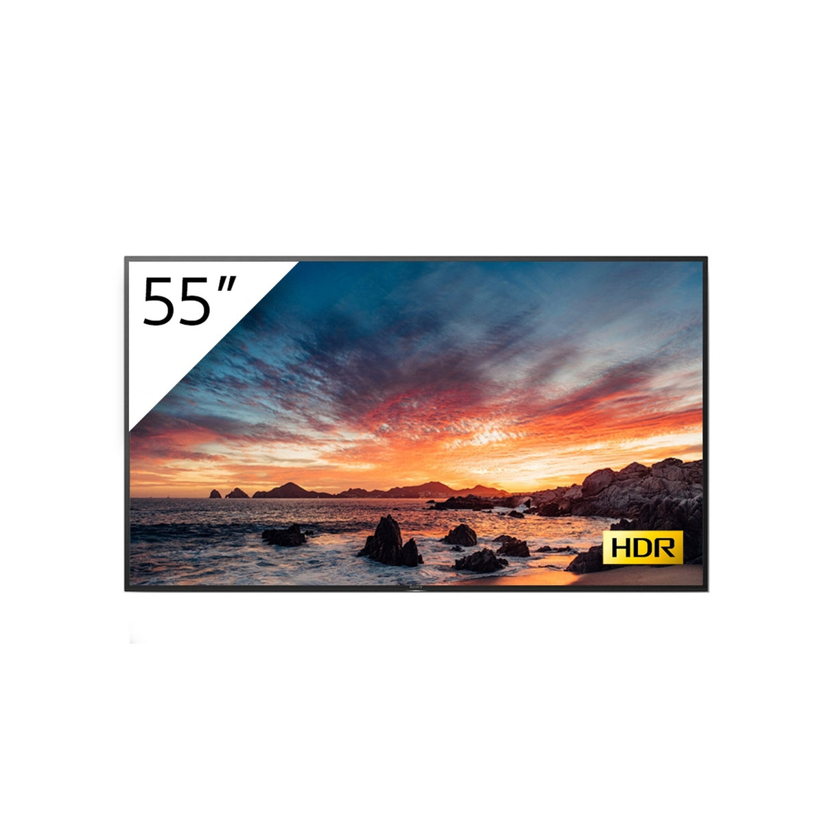 Sony FWD-55X800H 55-Inch BRAVIA 4K Ultra HD HDR Professional Display