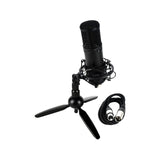 ROQ Audio M10C Large Diaphragm Multi-Purpose XLR Condenser Microphone