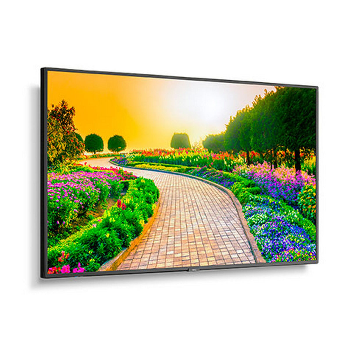 Sharp M431 43 Inch Ultra High Definition Professional Display