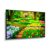 Sharp M491 49 Inch Ultra High Definition Professional Display