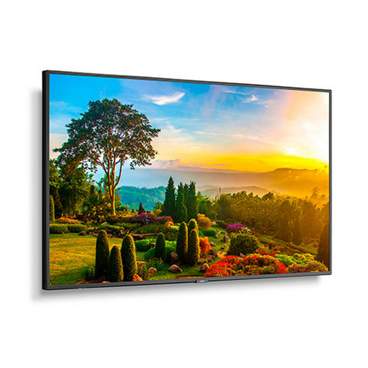 Sharp M551 55 Inch Ultra High Definition Professional Display