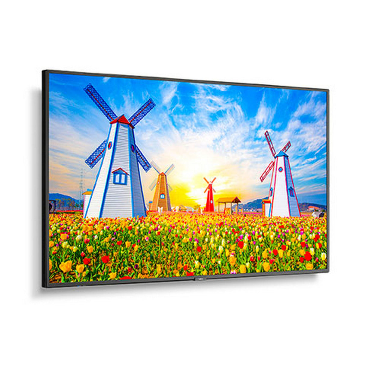 Sharp M651 65 Inch Ultra High Definition Professional Display