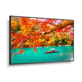 Sharp MA431 43 Inch Wide Color Gamut Ultra High Definition Professional Display