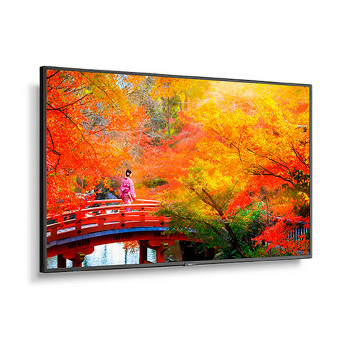 Sharp MA491 49 Inch Wide Color Gamut Ultra High Definition Professional Display