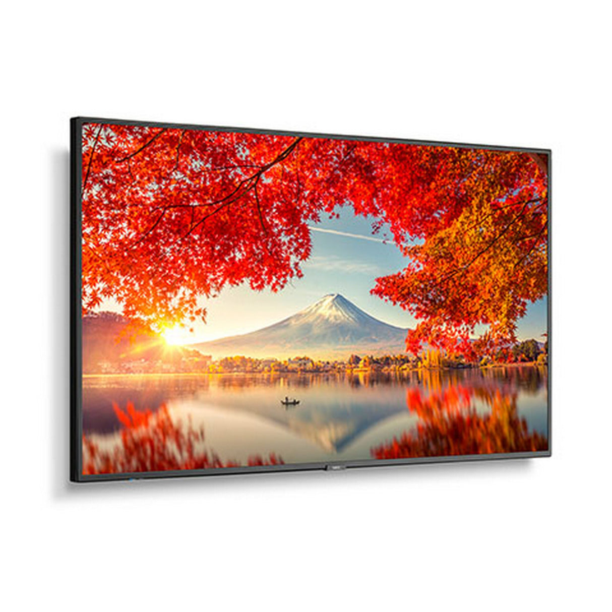 Sharp MA551 55 Inch Wide Color Gamut Ultra High Definition Professional Display