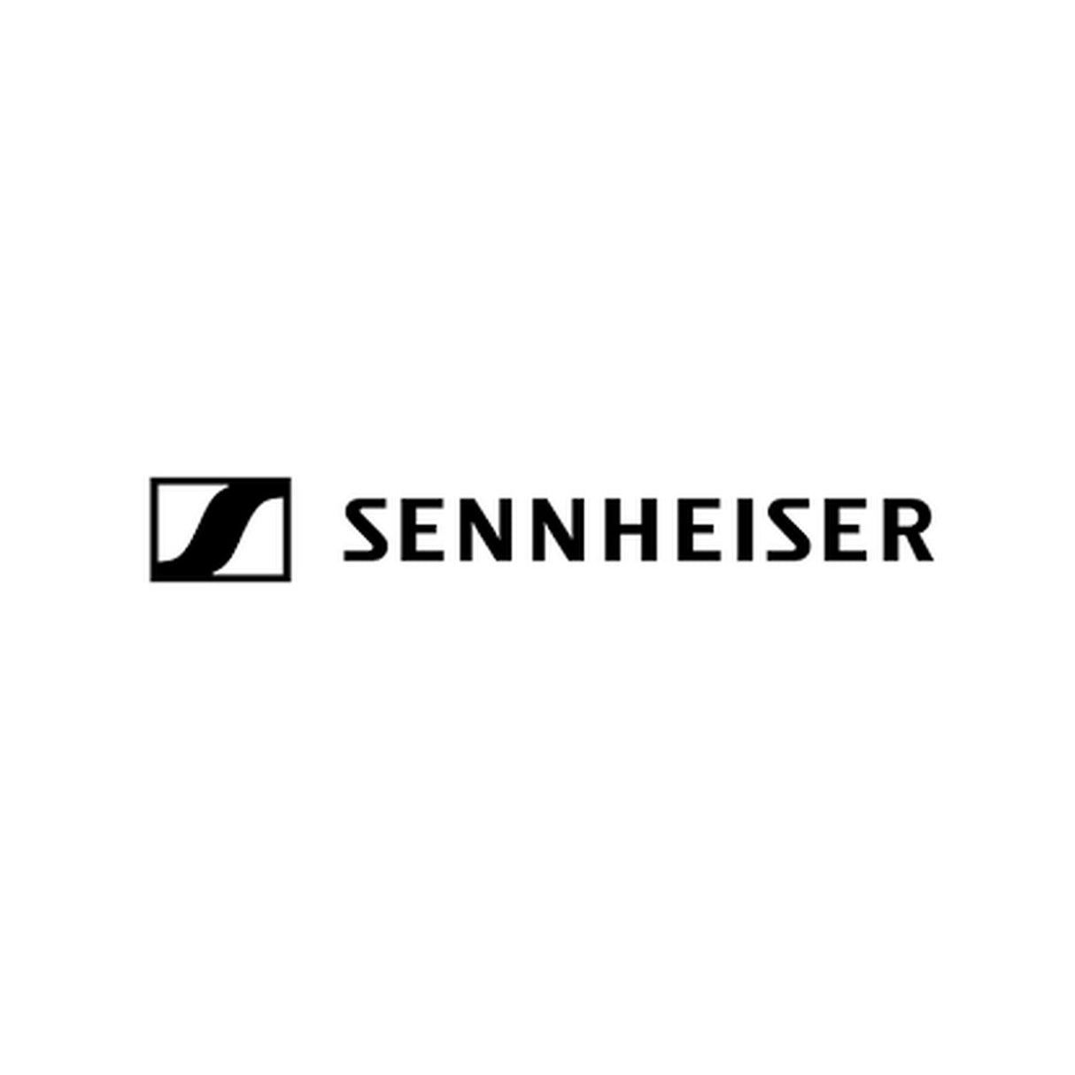 Sennheiser MZW 4032-A Foam Windscreen for Evoulution Series, Gray