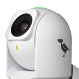 BirdDog P240W 1080P Full NDI PTZ Camera, White