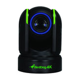 BirdDog P4K 4K 10-Bit Full NDI PTZ Camera with 1-Inch Sony Sensor Black