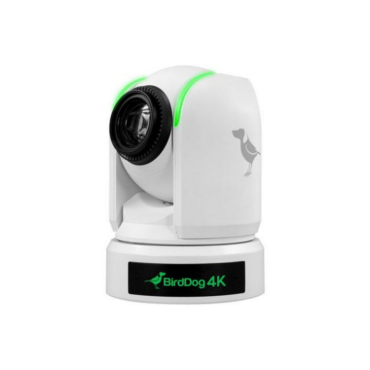 BirdDog P4K 4K 10-Bit Full NDI PTZ Camera with 1-Inch Sony Sensor, White