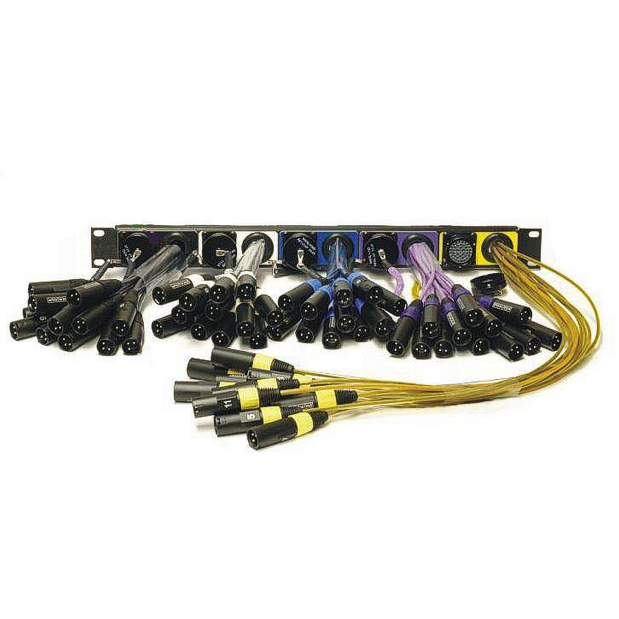 Whirlwind Patchmaster 60 60-Channel, 5x W1CF to XLRM Tails, 3-Foot