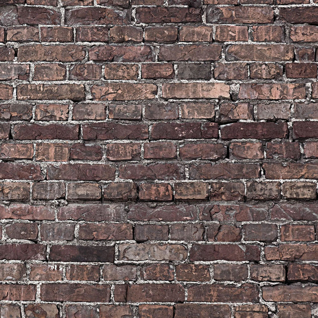 Savage 53-Inch x 18-Feet Printed Paper Background