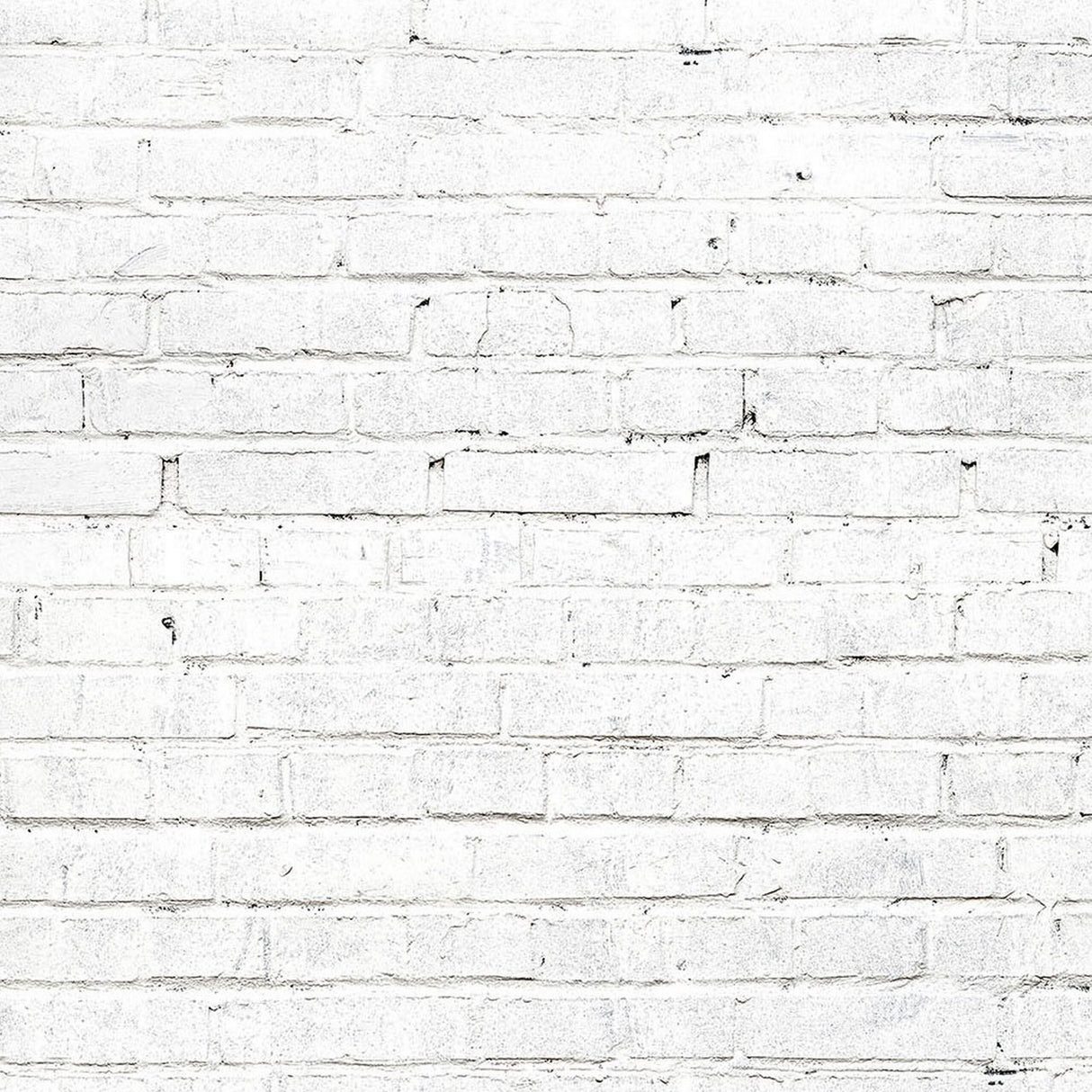 Savage 53-Inch x 18-Feet Printed Paper Background