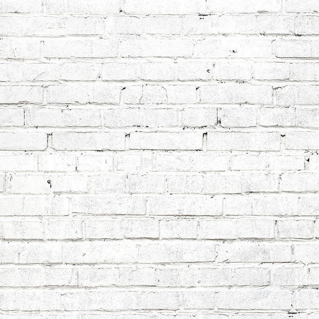 Savage 53-Inch x 18-Feet Printed Paper Background