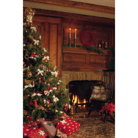 Savage 5 x 7-Foot Printed Vinyl Background Cozy Fireplace