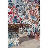 Savage 5 x 7-Foot Printed Vinyl Background Graffiti Alley