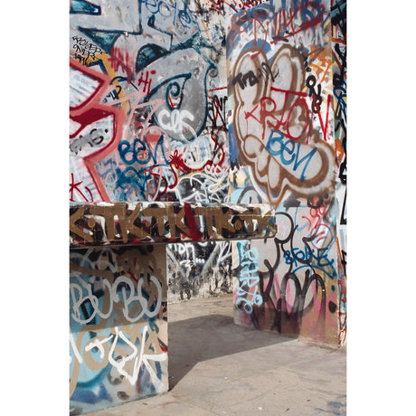 Savage 5 x 7-Foot Printed Vinyl Background Graffiti Alley