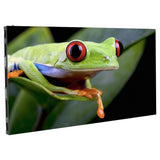 ADJ WMS2 2.6mm Pixel Pitch LED Video Panel with Wired DNC