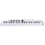 Arturia MiniLab 37 Compact MIDI Keyboard and Pad Controller