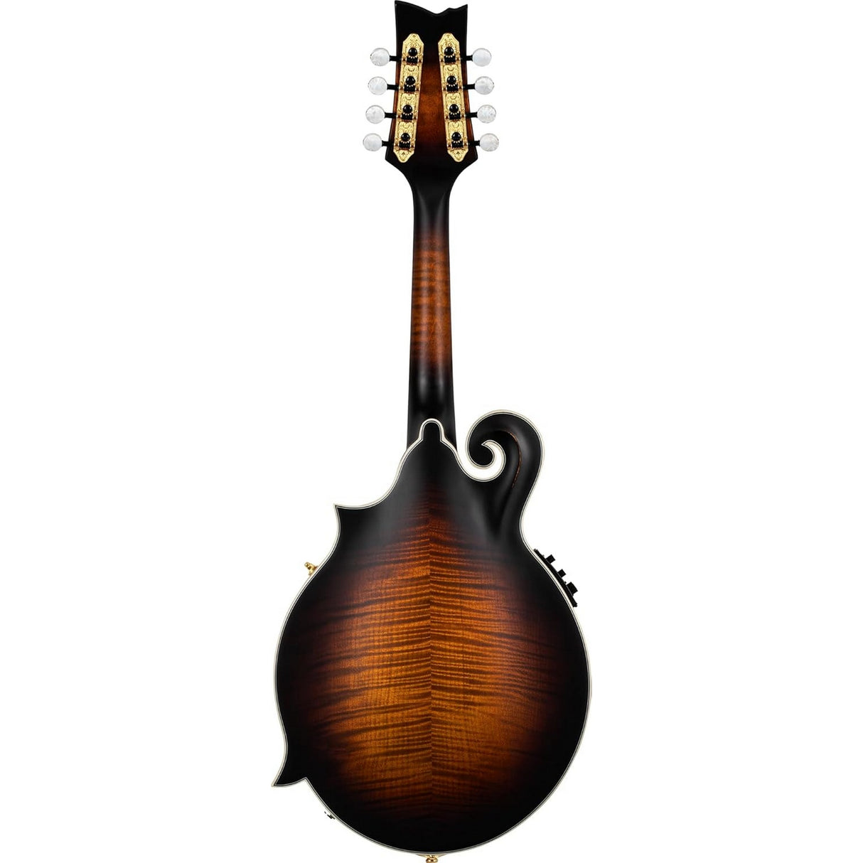 Ortega Guitars RMFE100AVO F Style Mandolin
