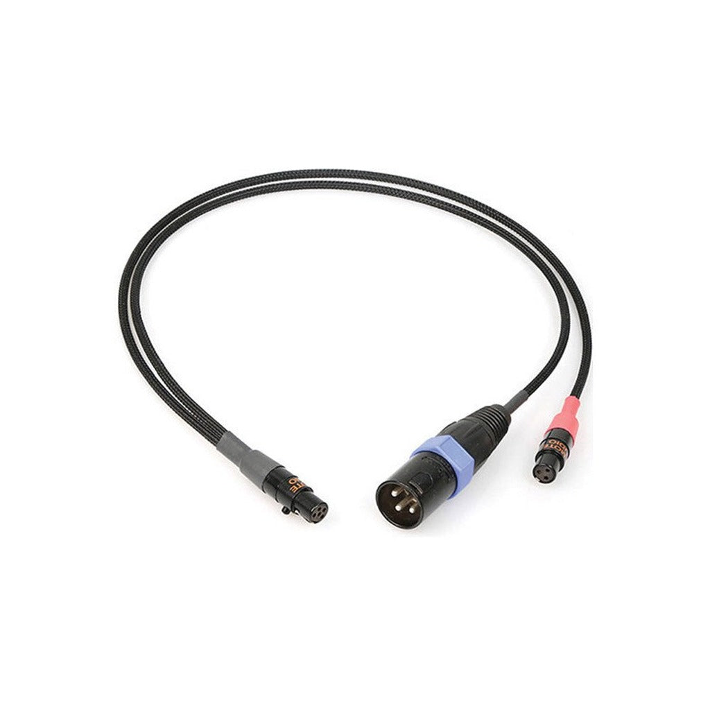 Remote Audio CAT5FX3MT3F18 TA5F to XLR3M and TA3F Balanced Breakout 18 in