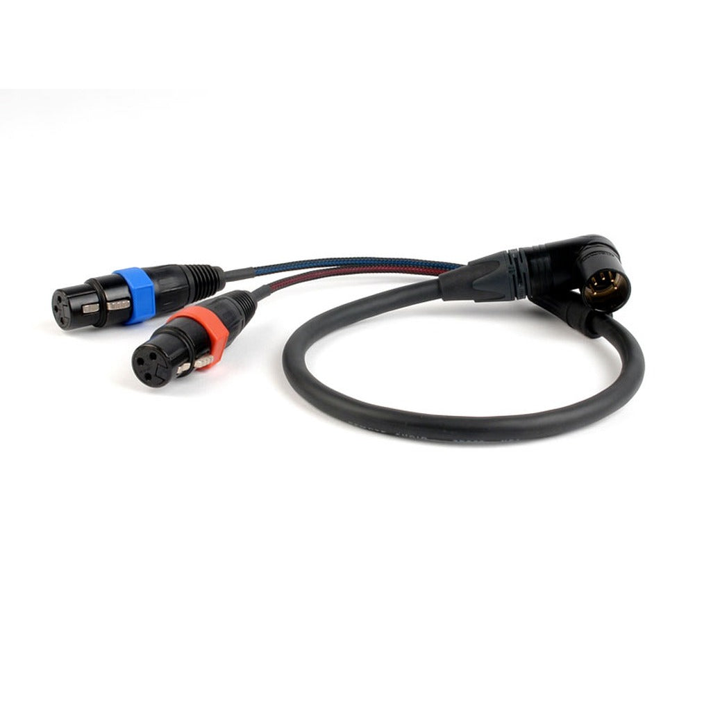Remote Audio CAXSTEX5MR Dual XLR3F to RA XLR5M Stereo Cable for ARRI Alexa 2 ft
