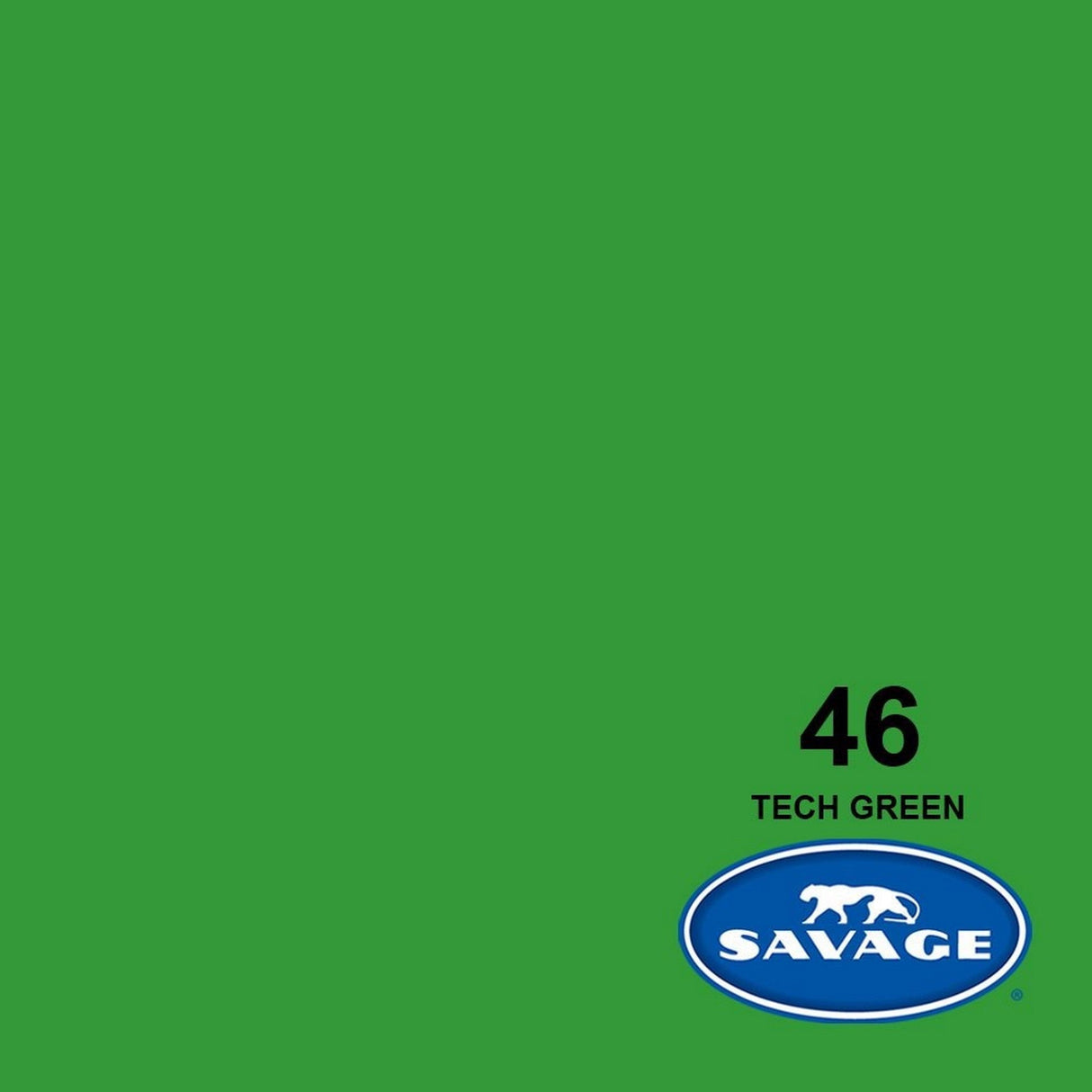 Savage 53-Inch x 12-Yards Widetone Seamless Background Paper Tech Green