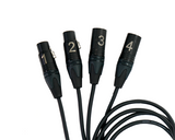 SoundTools CTFMX CAT Tails 2-Female XLR and 2-Male XLR Breakout Tails to Female etherCON, 24-Inch