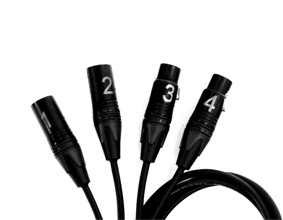 SoundTools CTMFX CAT Tails 2-Male XLR and 2-Female XLR Breakout Tails to Female etherCON, 24-Inch