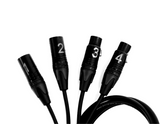 SoundTools CTMFX CAT Tails 2-Male XLR and 2-Female XLR Breakout Tails to Female etherCON, 24-Inch