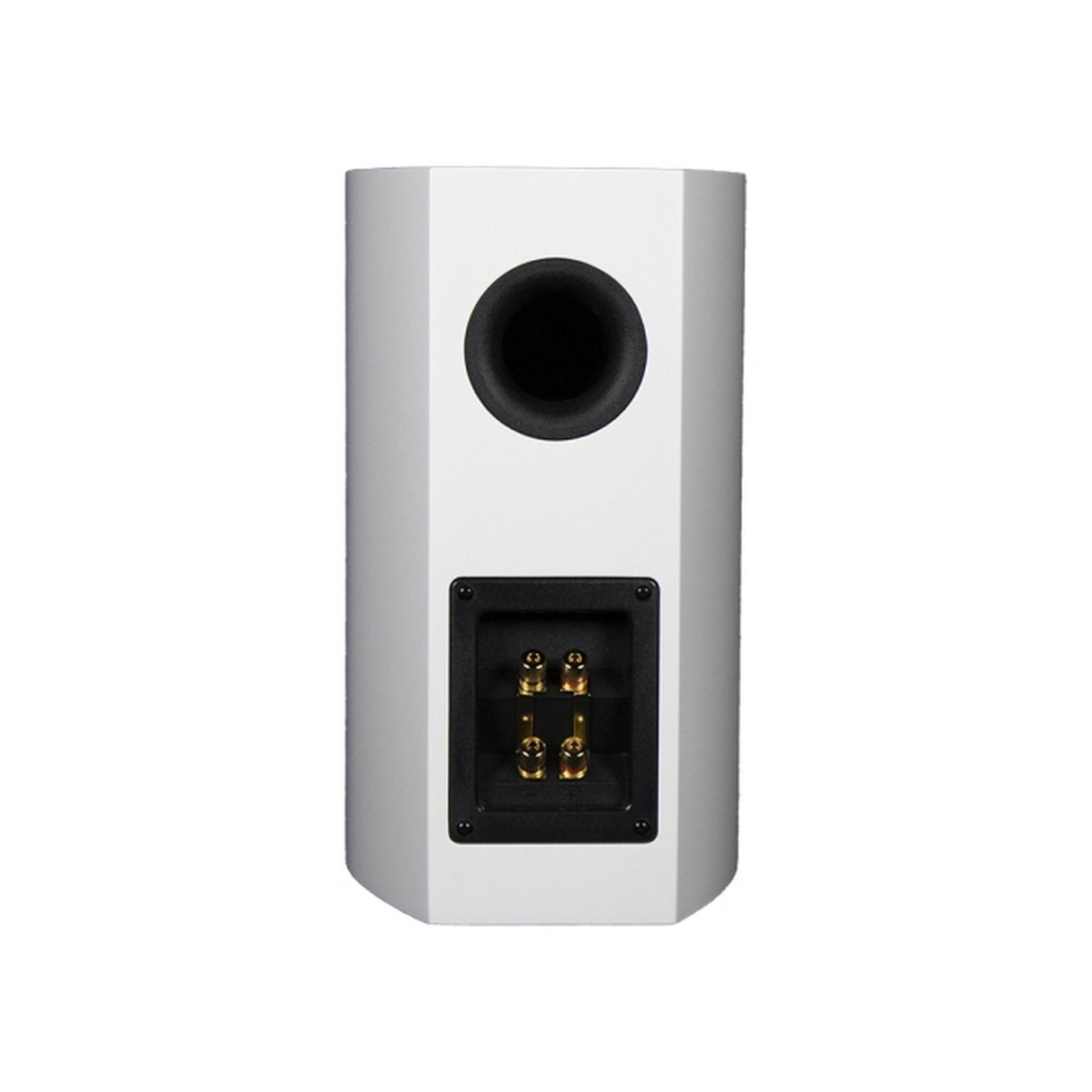 SoundTube PC1.5WH 2-Way 6.5-Inch Bookshelf Speaker, White