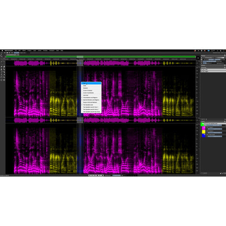 Steinberg SpectraLayers Pro 10 Advanced Audio Spectrum Editor, Download Only