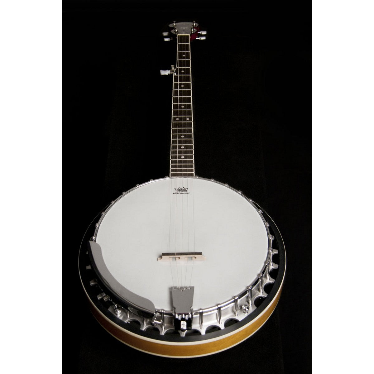 Washburn B9 5-String Americana Series Banjo, Sunburst