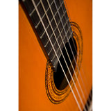 Washburn Classical C5 6-String Nylon Acoustic Guitar