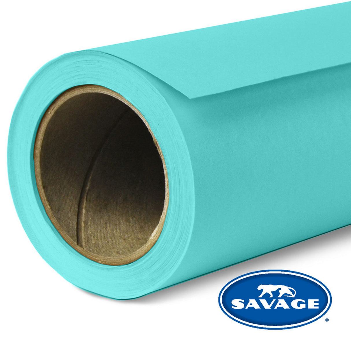Savage 107-Inch x 50-Yards Widetone Seamless Background Paper Baby Blue