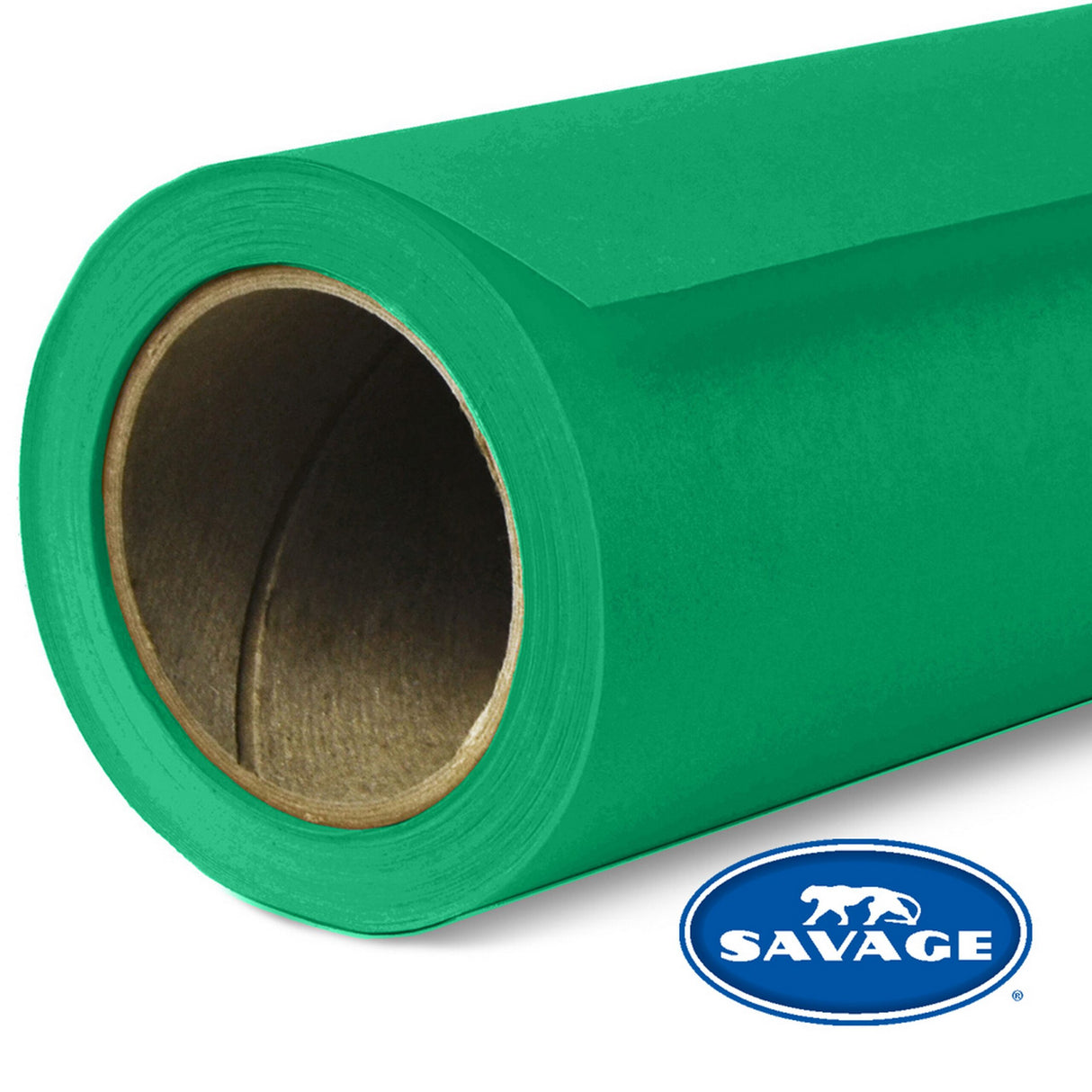 Savage 107-Inch x 50-Yards Widetone Seamless Background Paper Holly