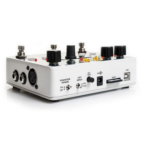 Electro-Harmonix 22500 Dual Stereo Looper Foot Controller