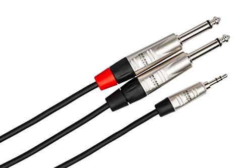 Hosa HMP-006Y 6 Foot REAN 3.5mm to Dual 1/4 Inch TS Breakout Stereo Cable