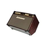 Traynor AM Standard 2 x 6.5 Inch 150 Watt Stereo Acoustic Guitar Amplifier