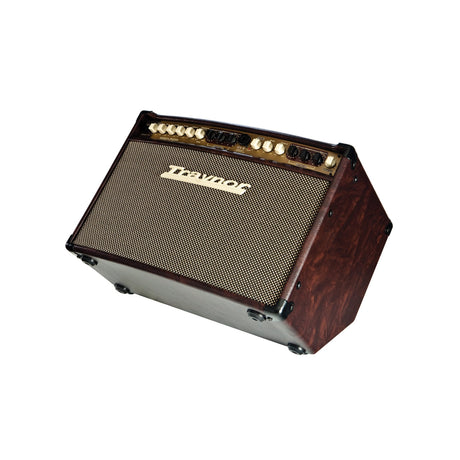 Traynor AM Standard 2 x 6.5 Inch 150 Watt Stereo Acoustic Guitar Amplifier