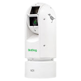 BirdDog A300 | IP67 Extreme Weatherproof Full NDI PTZ Camera with Sony Sensor and SDI White