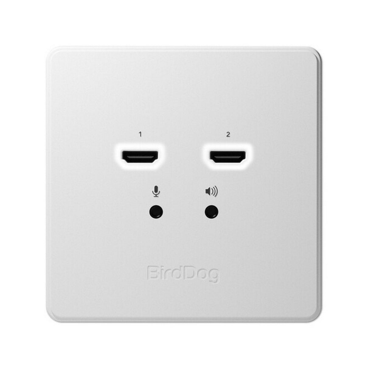 BirdDog BDWPIN Wallplate Dual Input