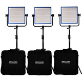 Dracast DRDP3LBSK Plus LED1000 Bi-Color 3-Light Studio Kit with V-Mount and Gold Mount Battery Plates