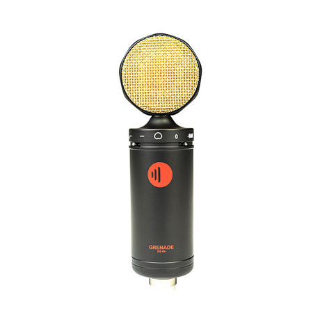 Direct Sound DS-60 Large Diaphragm Condenser Microphone