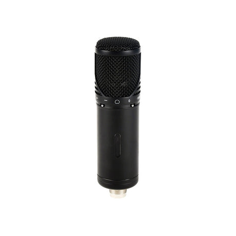 ROQ Audio M10C Large Diaphragm Multi-Purpose XLR Condenser Microphone