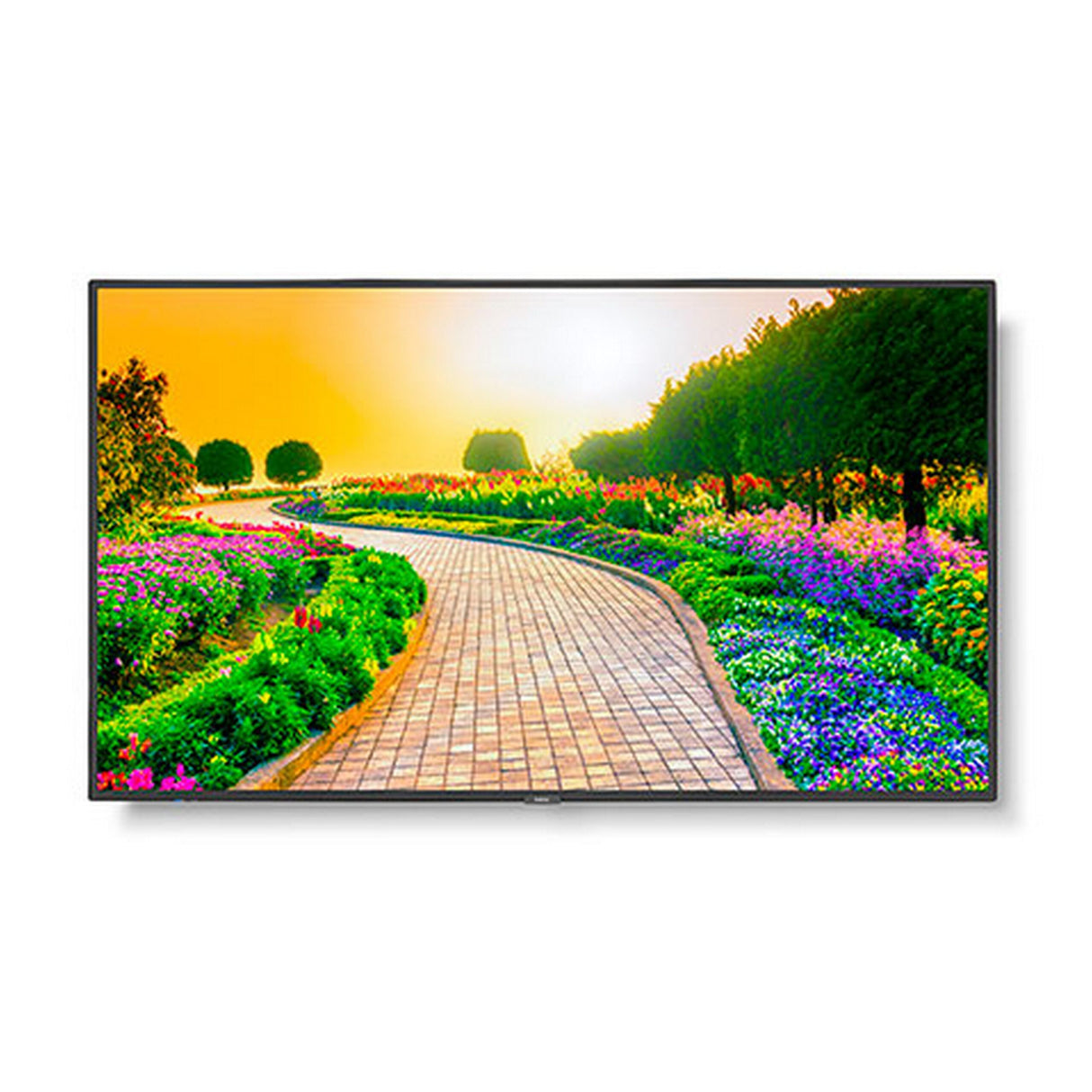 Sharp M431 43 Inch Ultra High Definition Professional Display