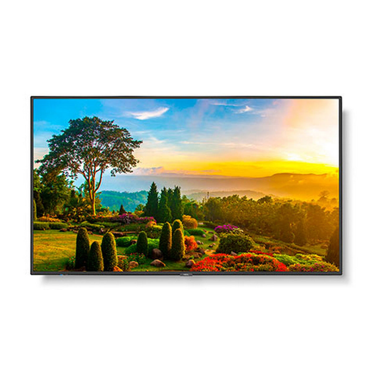 Sharp M551 55 Inch Ultra High Definition Professional Display