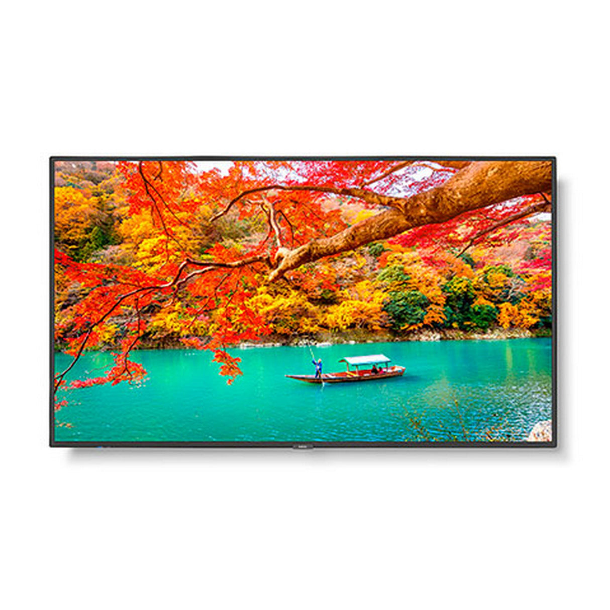 Sharp MA431 43 Inch Wide Color Gamut Ultra High Definition Professional Display