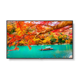 Sharp MA431 43 Inch Wide Color Gamut Ultra High Definition Professional Display