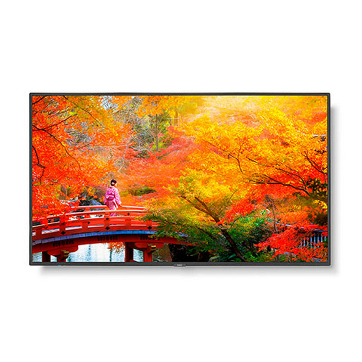 Sharp MA491 49 Inch Wide Color Gamut Ultra High Definition Professional Display