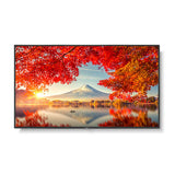 Sharp MA551 55 Inch Wide Color Gamut Ultra High Definition Professional Display